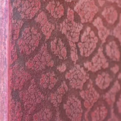 Pittura di scuoiatura