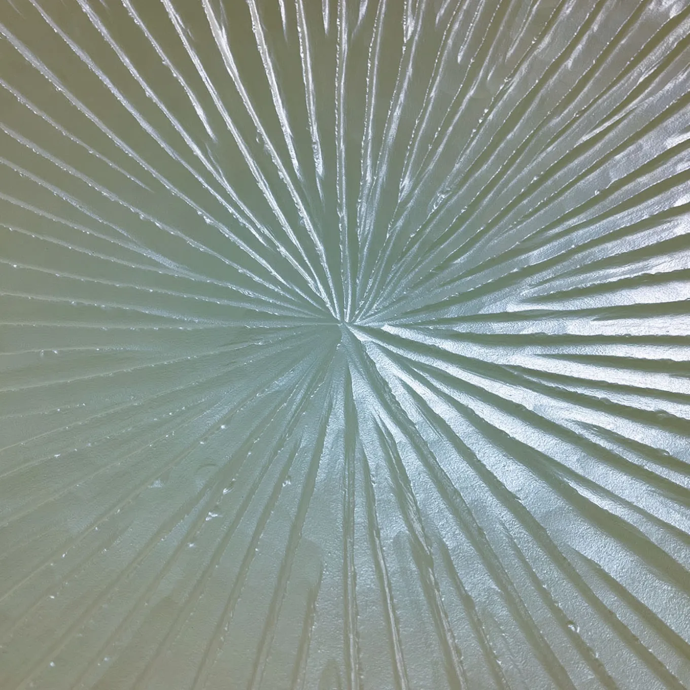 Placca a parete concava bianco perla