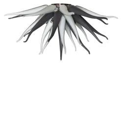 Plafoniera Anenome di Luce