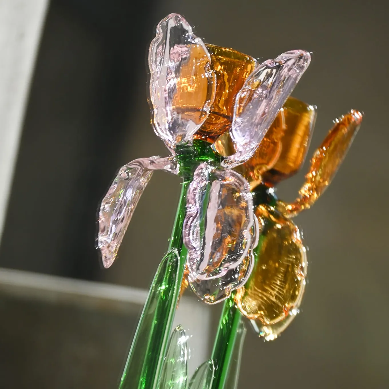 Portacandele in Vetro Rosa Iris di Summerill & Bishop