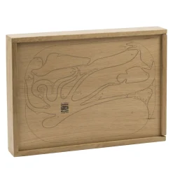 Puzzle in Legno 16 Pesci di Enzo Mari