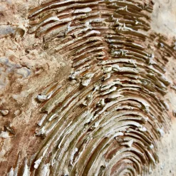 Quadro Materico Screziature Ferrose in resina