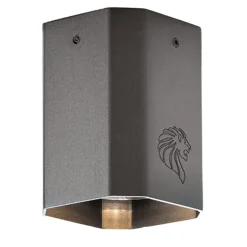 Riflettori puntati sul singolo Era