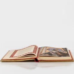 Roma città eterna Libro