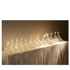 Sacchetti di Vita Fotografia