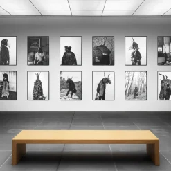 Savage Fool Bear Fotografia #03