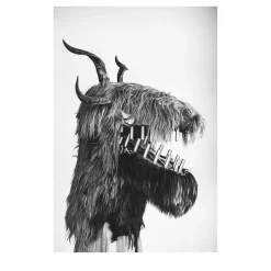 Savage Fool Bear Fotografia #11