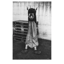 Savage Fool Bear Fotografia #08