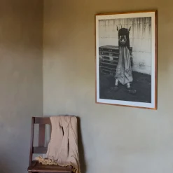 Savage Fool Bear Fotografia #08