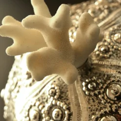 Scatola d'argento con riccio di mare e coperchio di corallo