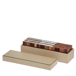 Scatola della Torre di Pisa