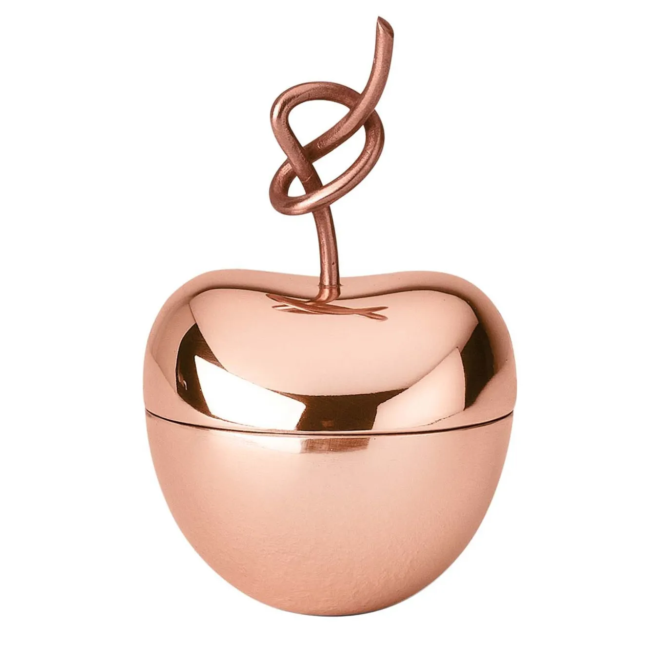 Scatola di ciliegio annodata - Piccola di Nika Zupanc