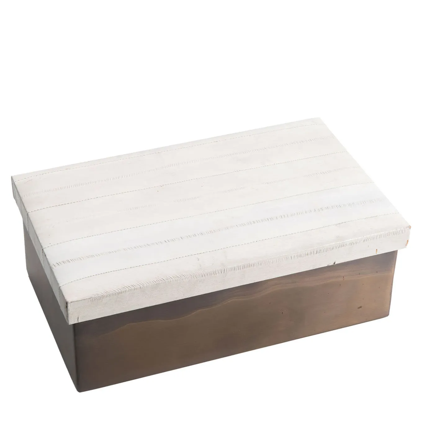 Scatola in Pelle di Anguila e Ottone Lucido con Coperchio