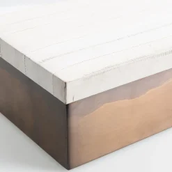 Scatola in Pelle di Anguila e Ottone Lucido con Coperchio