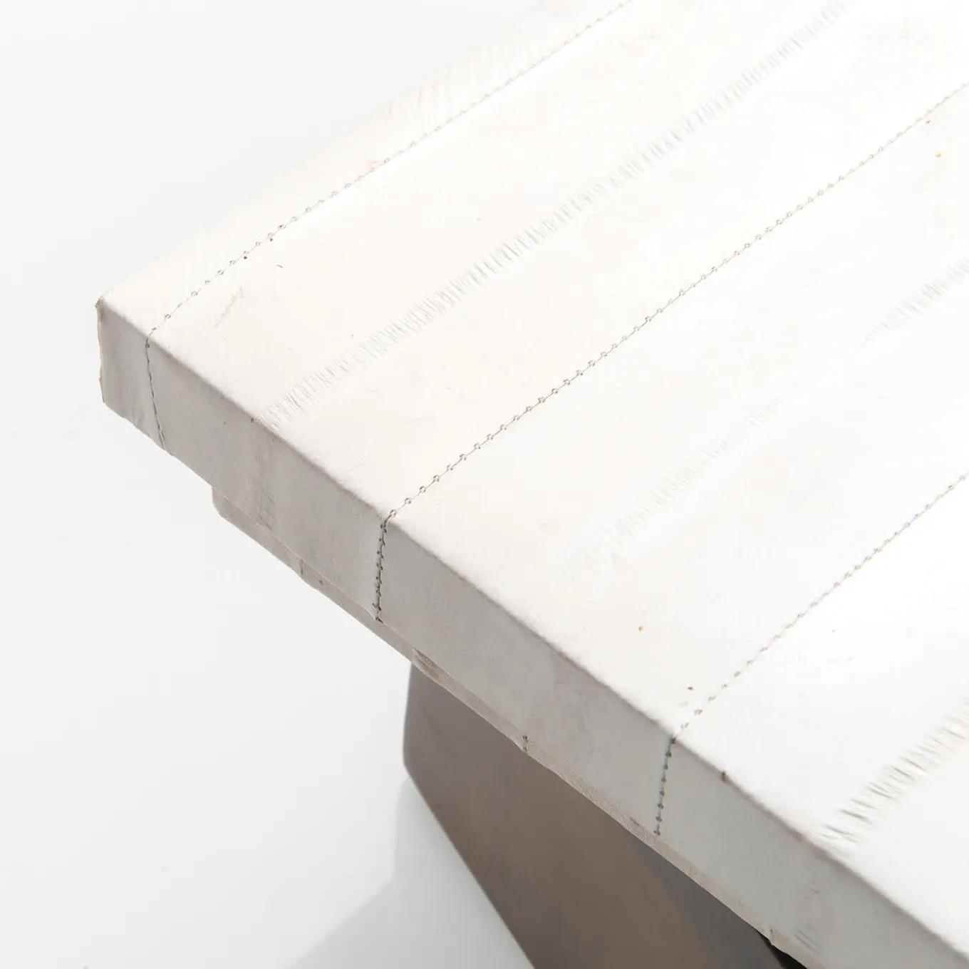 Scatola in Pelle di Anguila e Ottone Lucido con Coperchio