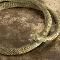 Scatola Piccola Serpens