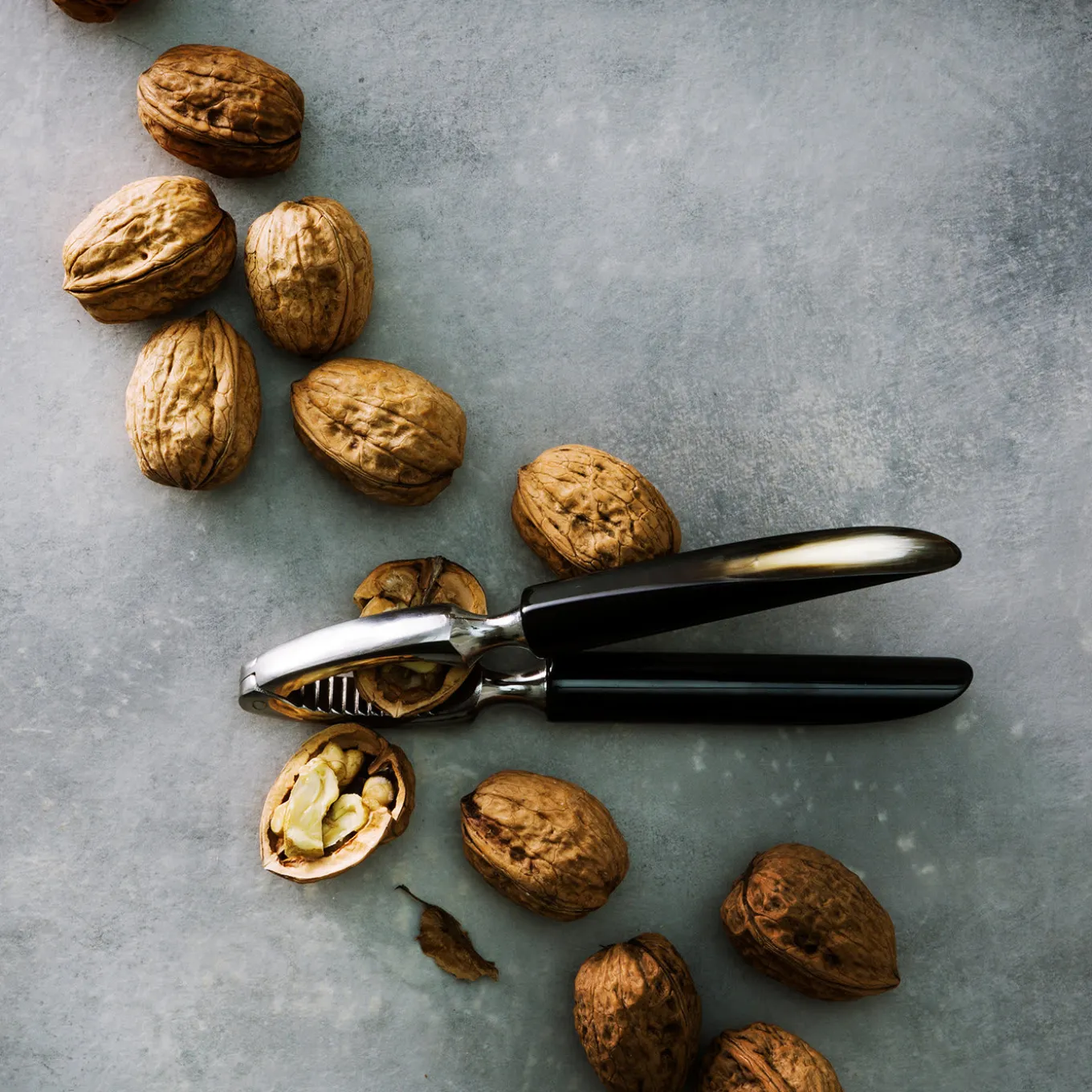 Schiaccianoci dello Zimbabwe