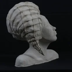 Scultura Concha in Ceramica