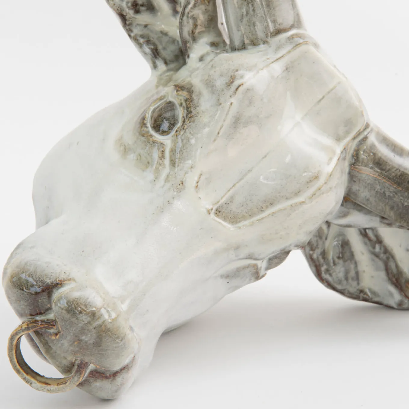 Scultura da parete con trofeo del toro