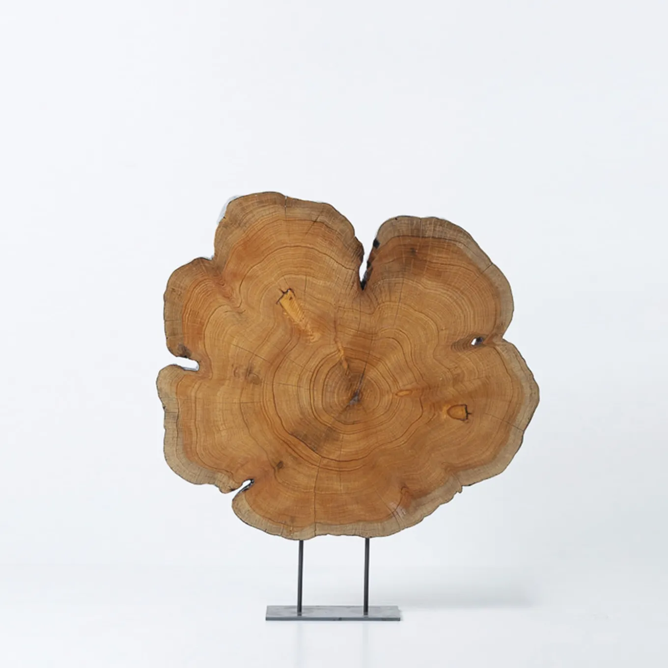 Scultura di cipresso millenario