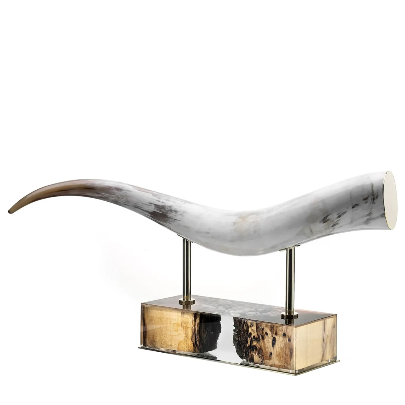 Scultura di corno di Laguna