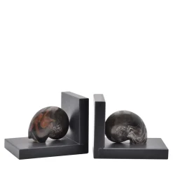 Scultura di fermalibri fossili #2 di Nino Basso