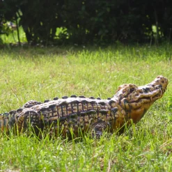 Scultura policroma di Coccodrillo