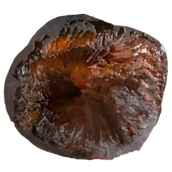 Scultura Terre Savana