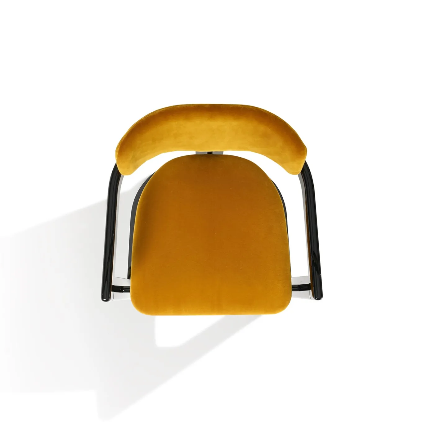 Sedia Essa in velluto giallo e legno nero lucido con intarsi in corno