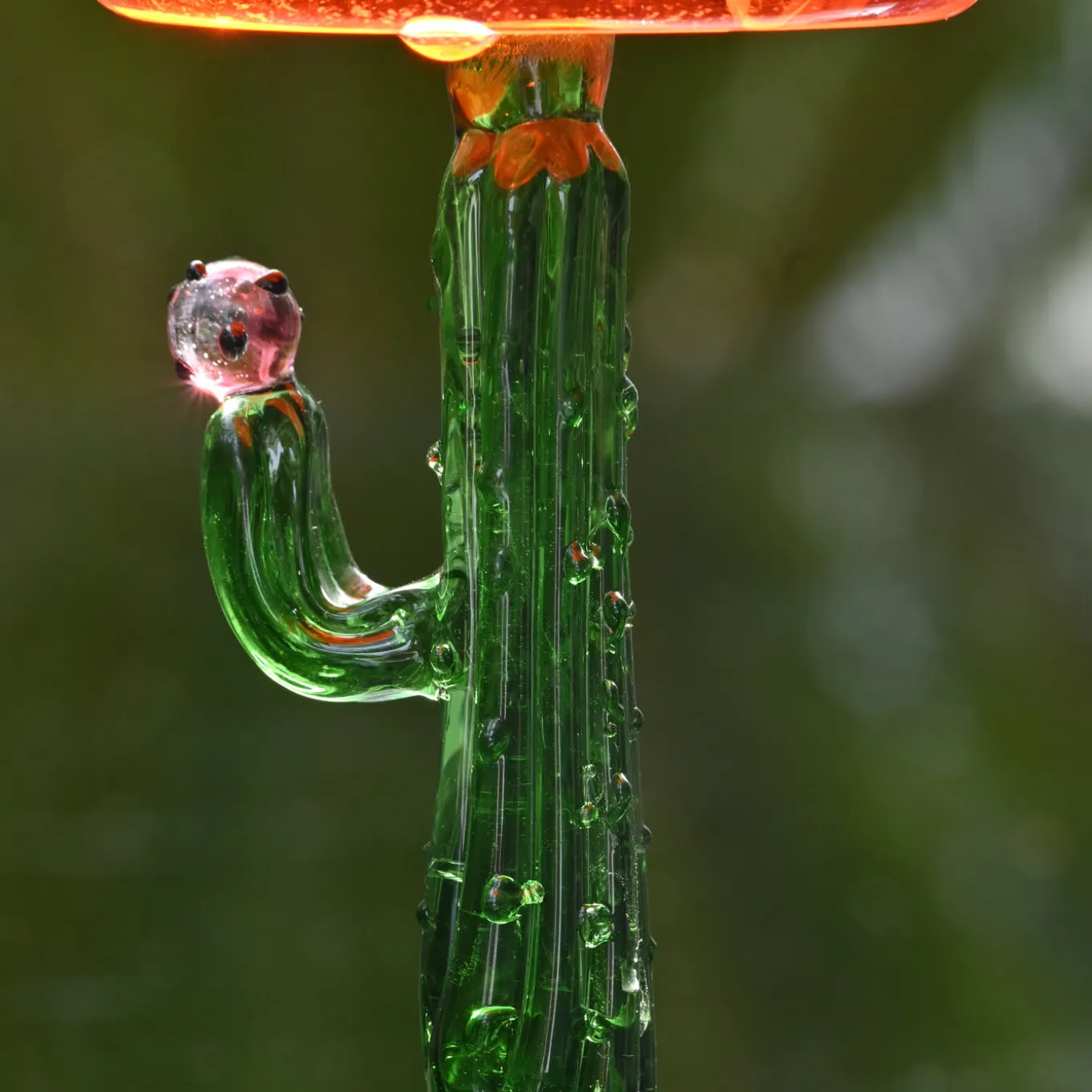 Set di 4 bicchieri da vino Cactus Mania in verde