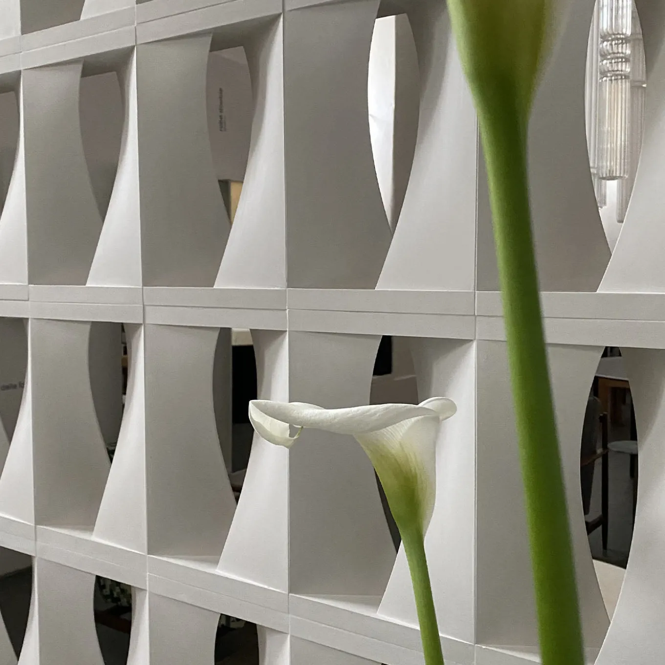 Set di 15 Blocchi Brasilia in Gesso Bianco