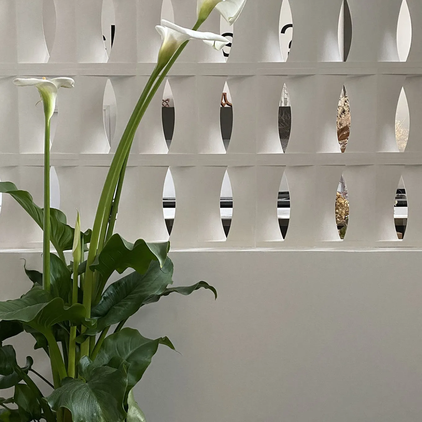 Set di 15 Blocchi Brasilia in Gesso Bianco