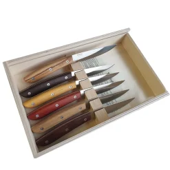 Set di 6 coltelli da bistecca