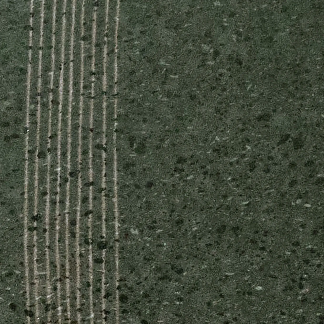 Set di 25 piastrelle verdi Scie di Margherita Rui