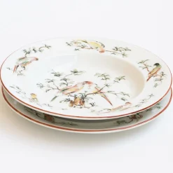 Set di 4 Piatti Piani Pappagallini