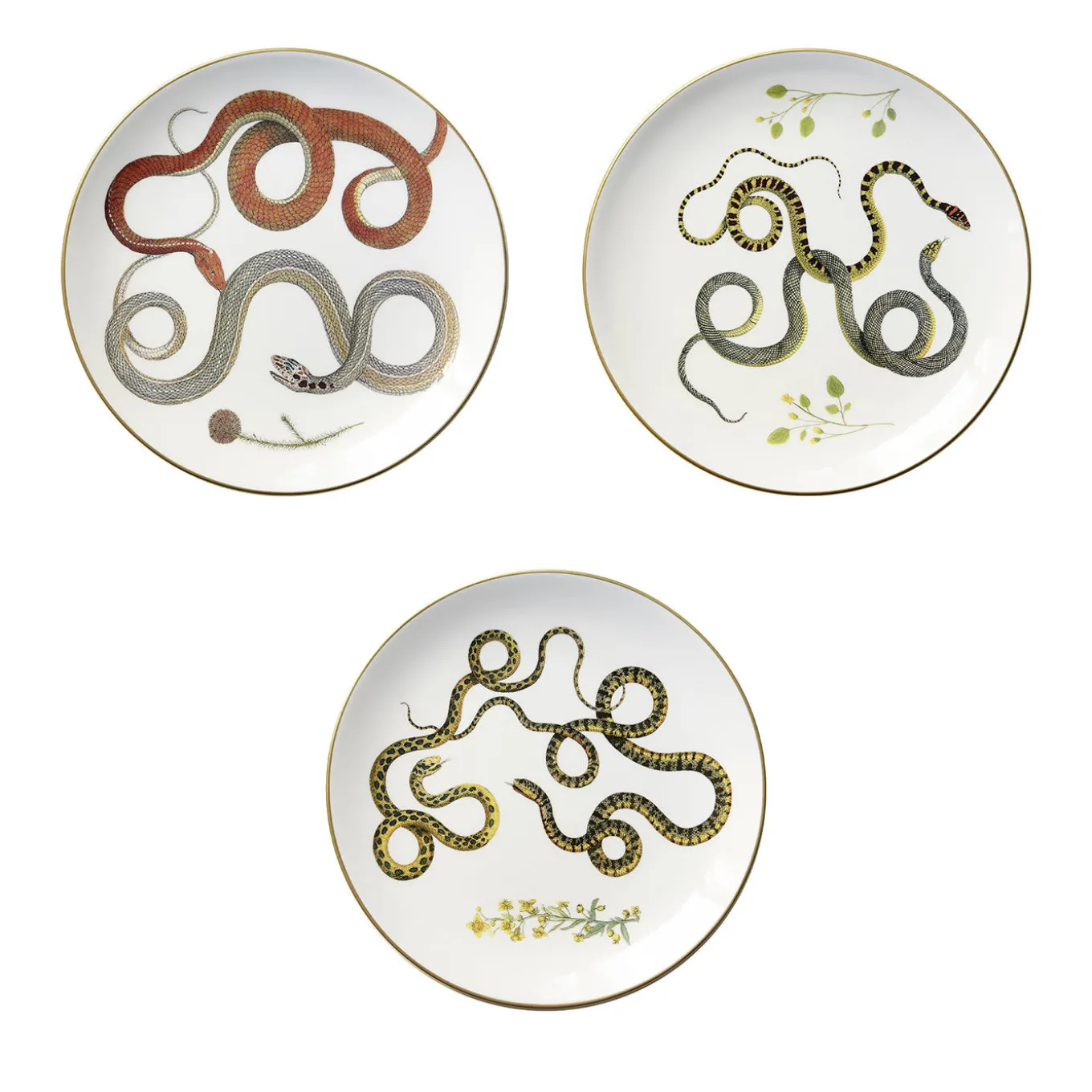 Set di 3 Piatti Piani Serpi #2