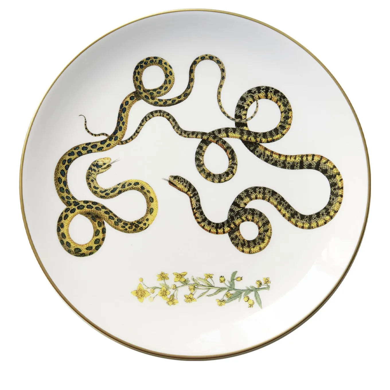 Set di 3 Piatti Piani Serpi #2