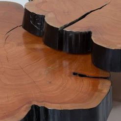 Set di 2 tavolini Locum II