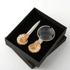 Set di coltelli di carta e lenti d'ingrandimento Fossiline di Nino Basso #4