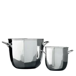 Set di secchielli per ghiaccio e champagne