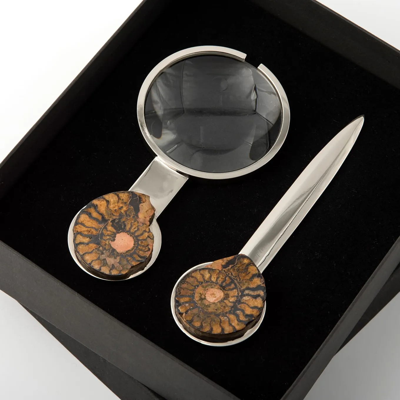 Set Fossiline di Coltello da Carta e Lente di Ingrandimento di Nino Basso #2