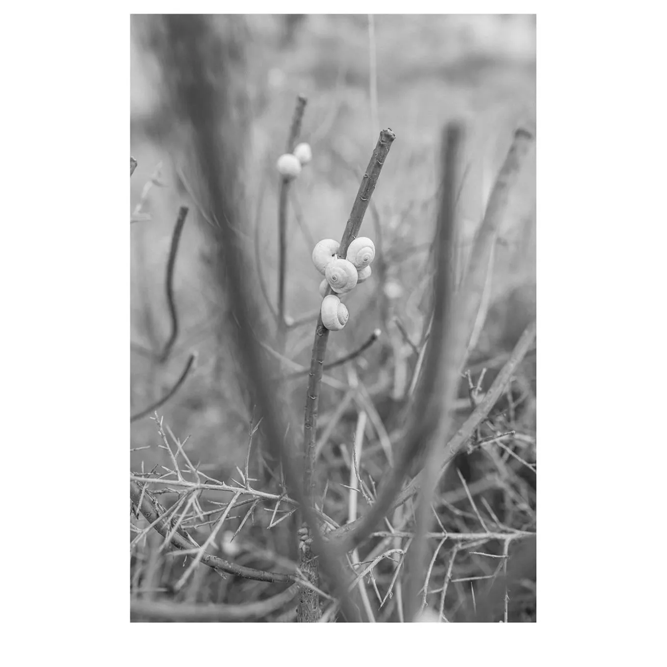 Sicilia Baia di Cornino 08 Fotografia