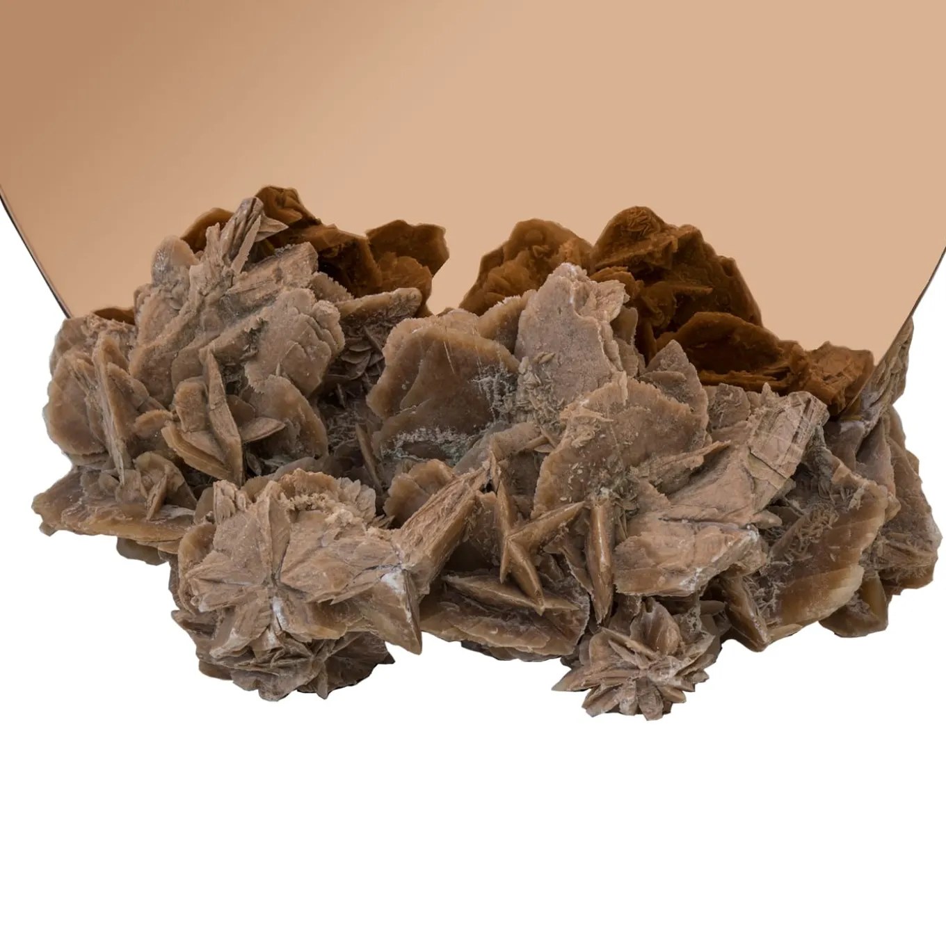 Specchio rotondo Rosa-Rosæ