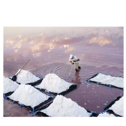 Stampa d'arte del sale #1