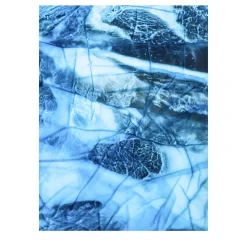 Stampa fotografica del prosciutto