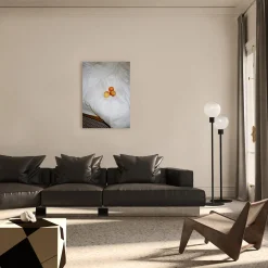 Stampa fotografica Mele