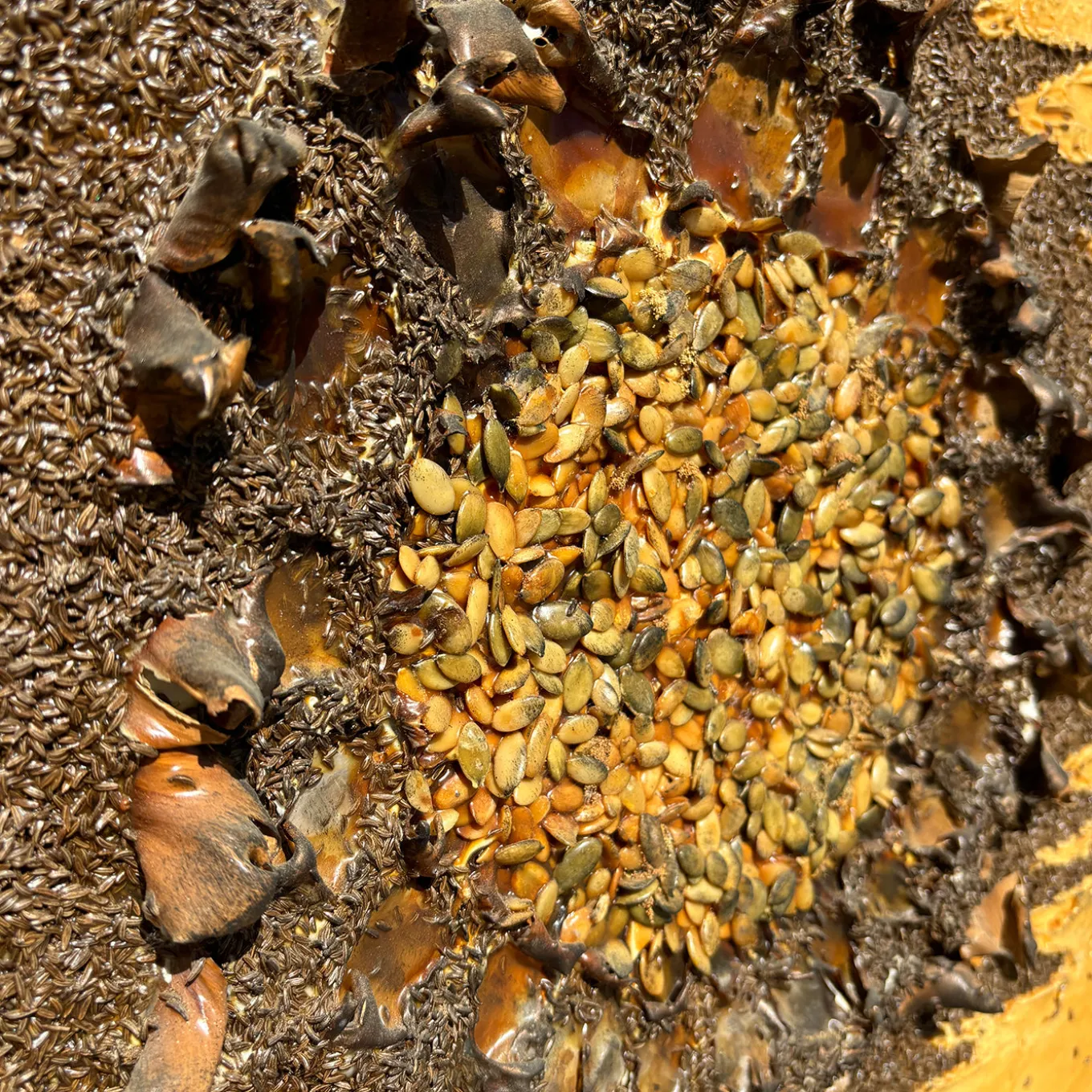 Supernova Pittura Astratta