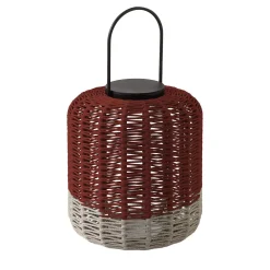 Susy Lanterna media di Antonio Marras