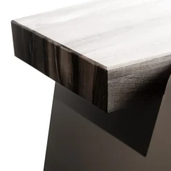 Tabula Rasa N°1 Tavolo in argento di MM Design