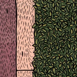 Tappeto in lana fatto a mano Rose Realm